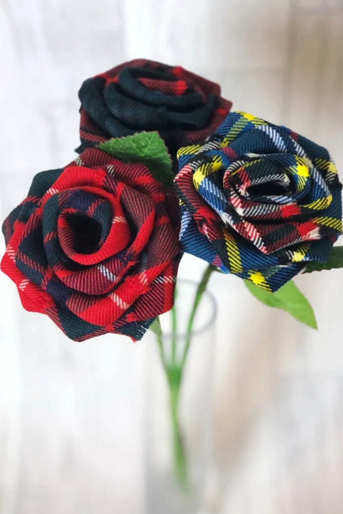 Tartan Stem Rose