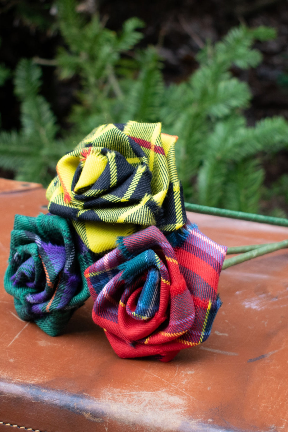 Tartan Rose